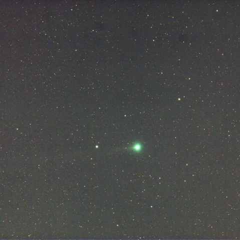 スワン星雲 (C/2025 R2) 再投稿