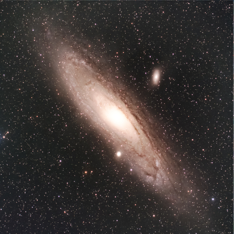M31