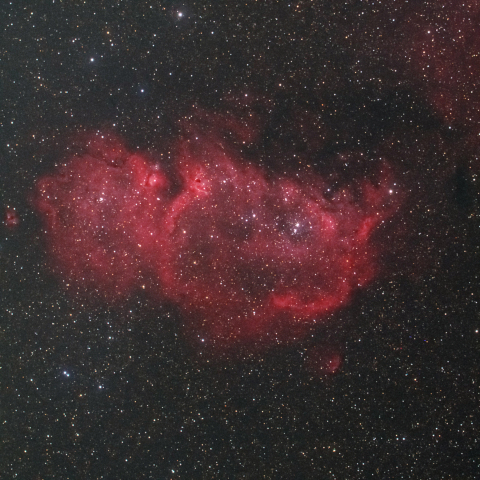 ソウル星雲（IC1848)