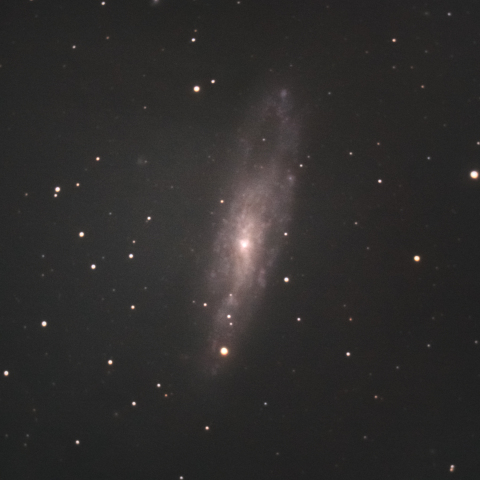 NGC247 (くじら座銀河）