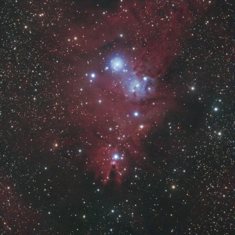 クリスマスツリー星団