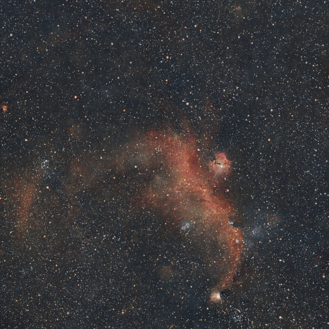 カモメ星雲 (IC2177)