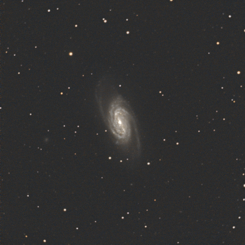 NGC2903