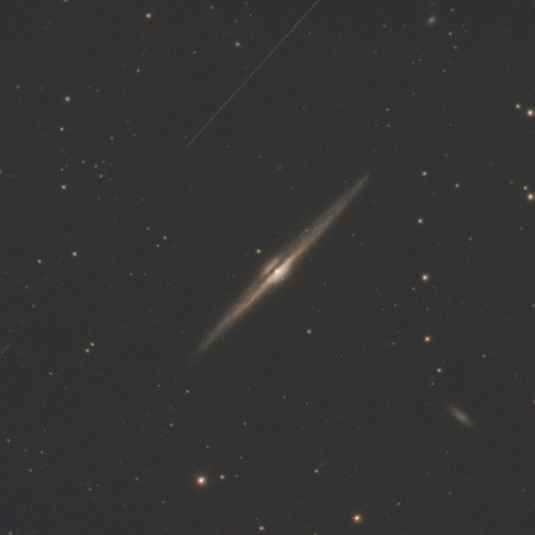 NGC4565