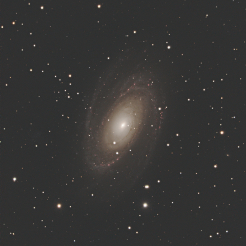 M81