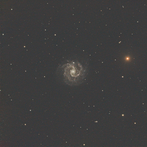 NGC3184(小回転花火銀河）