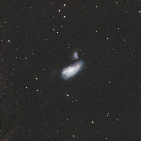 NGC4490 (まゆ銀河）