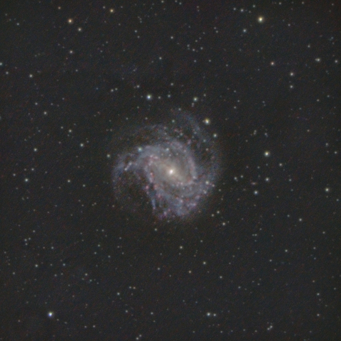M83