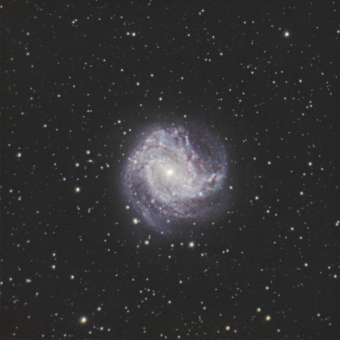 M83 (南の回転花火銀河）