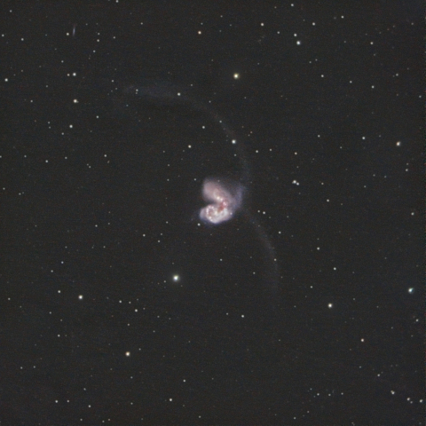 NGC4038,9 (アンテナ銀河）