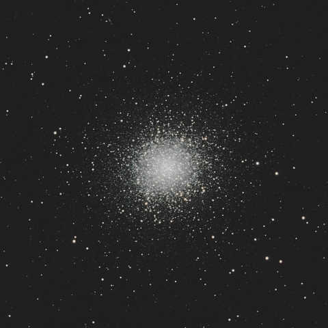 M13