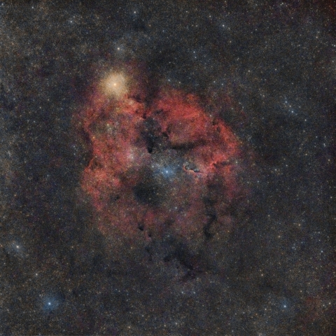 IC1396