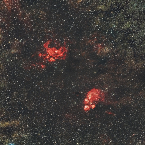 彼岸花・出目金星雲