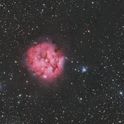 IC5146 (まゆ星雲）