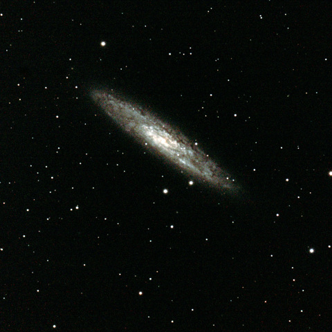 NGC253