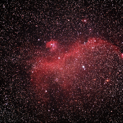 わし星雲(IC2177)