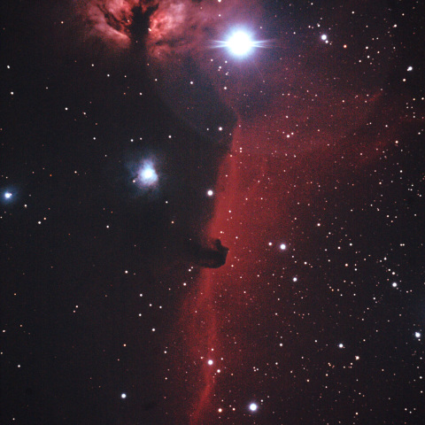 馬頭星雲と燃える木