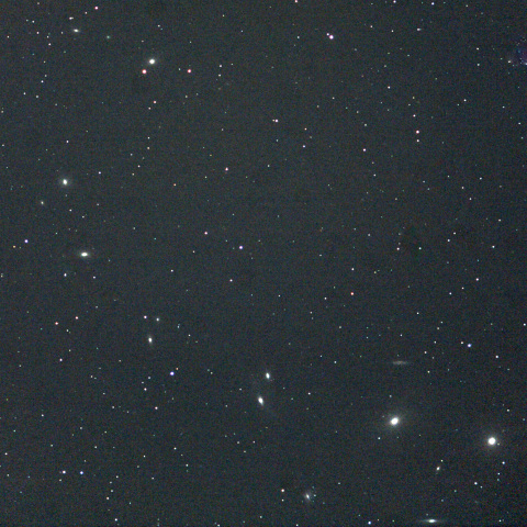 マルカリアン連鎖