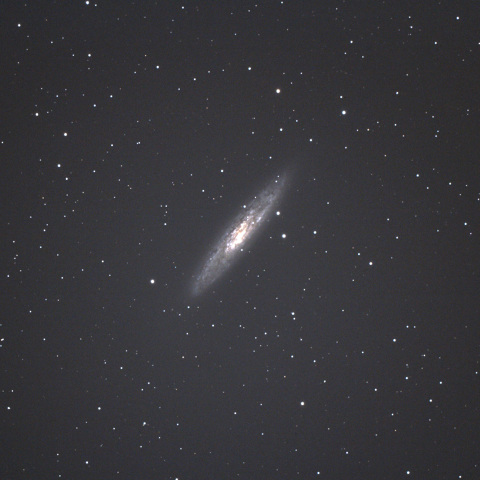 NGC253