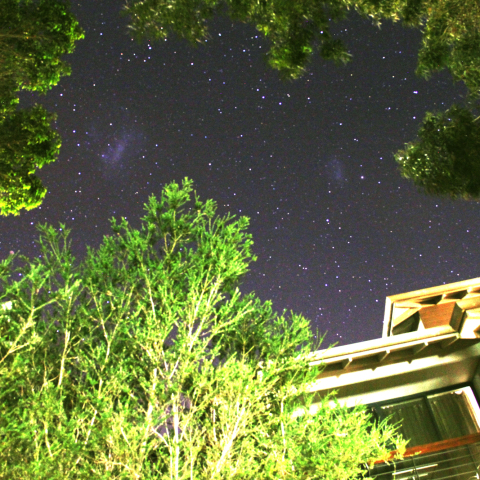 ホテルの樹木間から見えた大・小マゼラン星雲