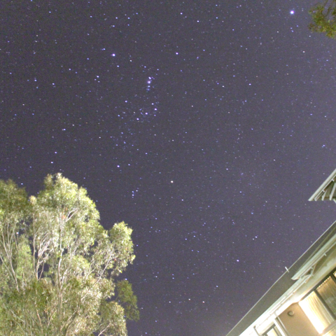 逆さまに見えたオリオン座とシリウス