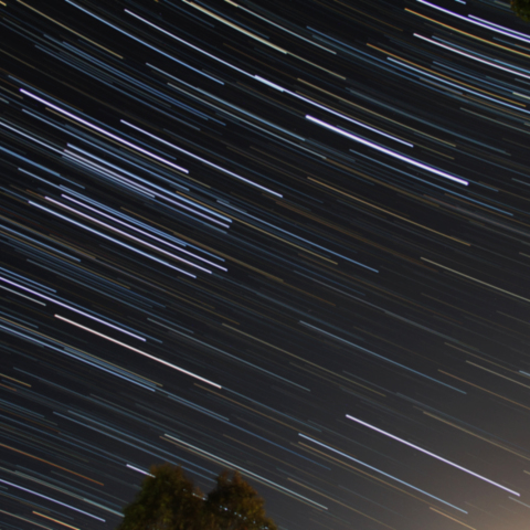 冬（南半球では夏）の大三角の日周運動