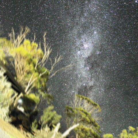 南半球での天の川、南十字星、ηカリーナ星雲