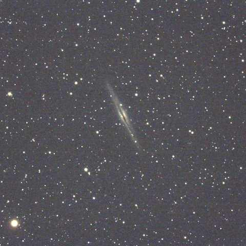 NGC891