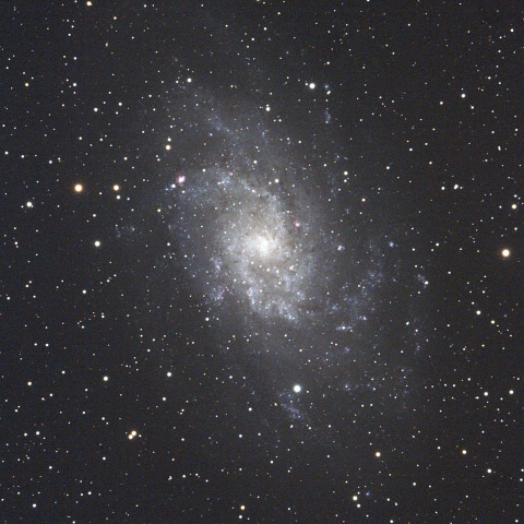 M33