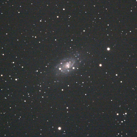 NGC2403(キリン座)