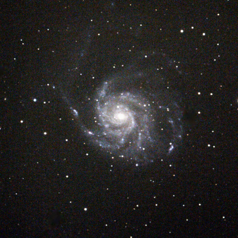 M101（回転花火銀河）