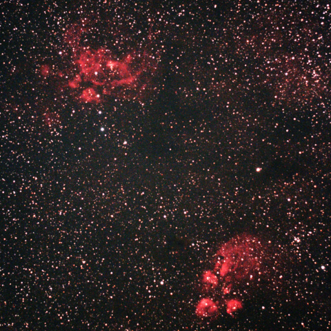 彼岸花星雲（NGC6357）と出目金星雲（NGC6334）