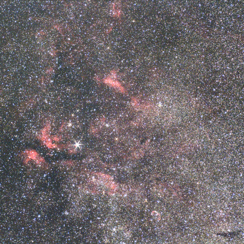 白鳥座サドル付近の散光星雲