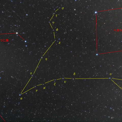 うお座全景