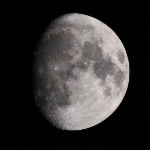 11月19日の月（月齢11.5）