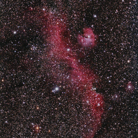 カモメ星雲（IC2177）