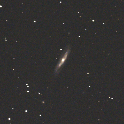 M98（おとめ座銀河団：渦巻銀河）