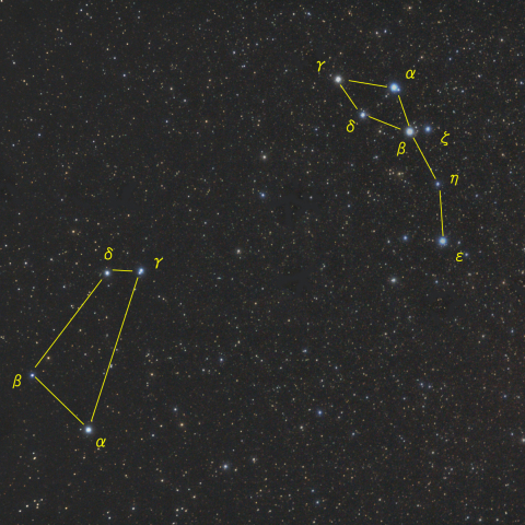 イルカ座と仔馬座