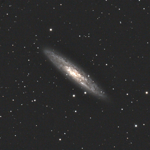NGC253