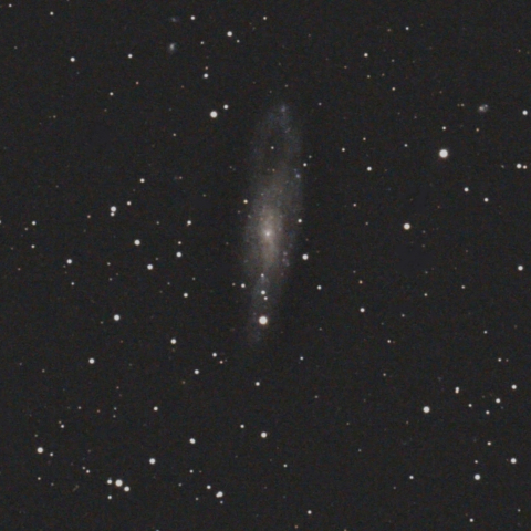 NGC247（くじら座の銀河）