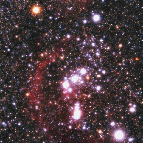 バーナードループ