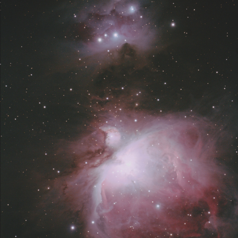 M42 M43 NGC1973