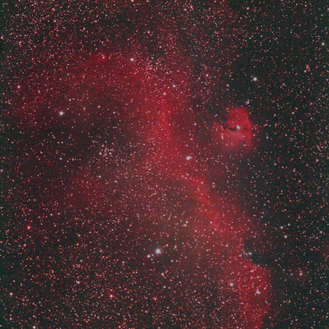 IC2177（カモメ星雲）