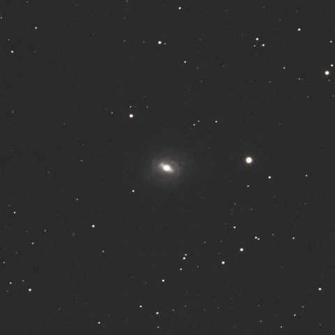 M58（おとめ座銀河団：棒渦巻銀河）