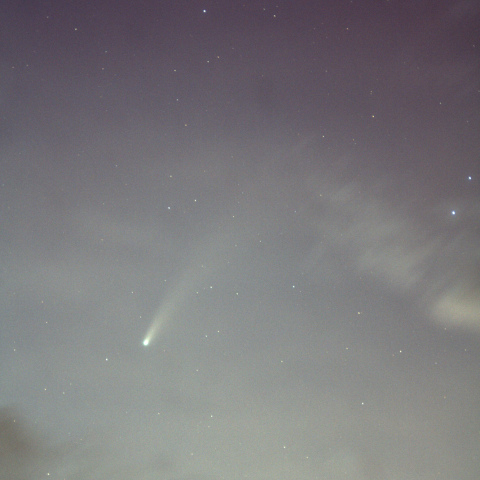 ネオワイズ彗星