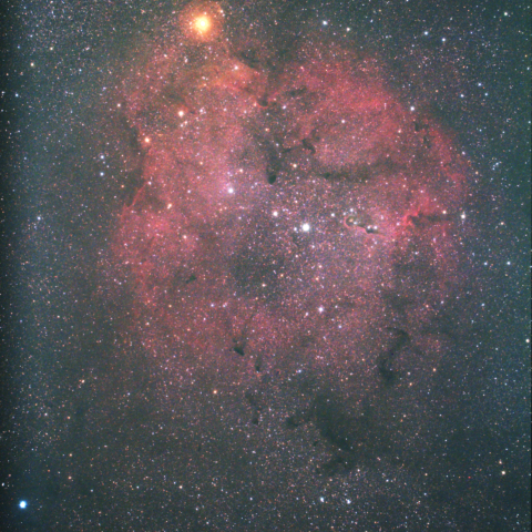 IC1396（ケフェウス座散光星雲）