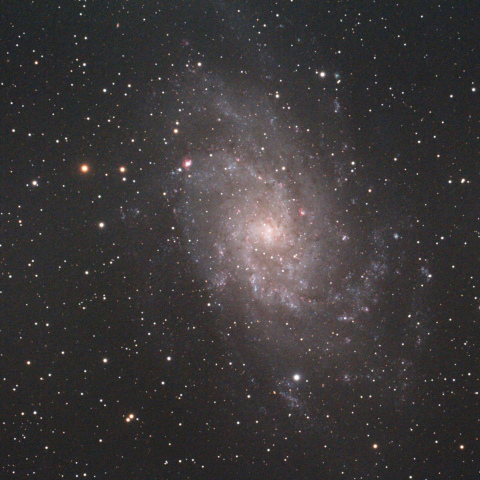 M33（さんかく座銀河）