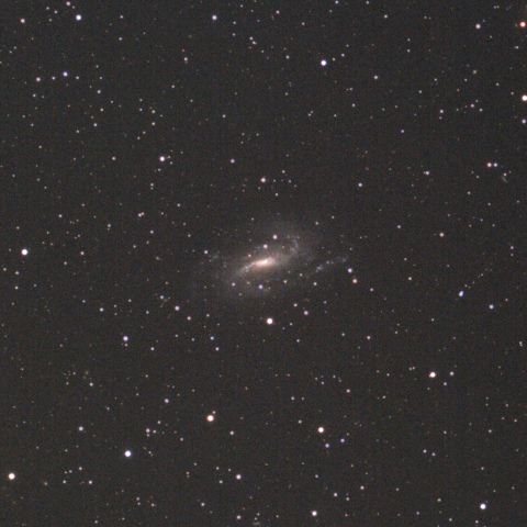 NGC925（さんかく座の銀河）