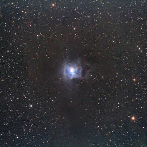 NGC7023（アイリス星雲：ケフェウス座）