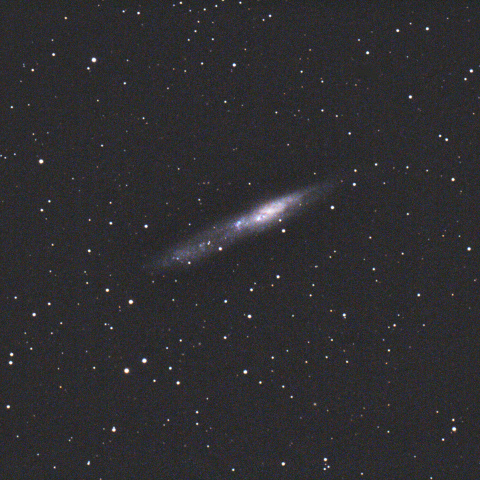 NGC55（ちょうこくしつ座の銀河）